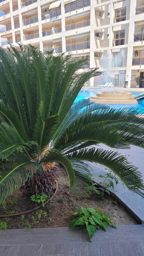 Platan Apartment سالو المظهر الخارجي الصورة